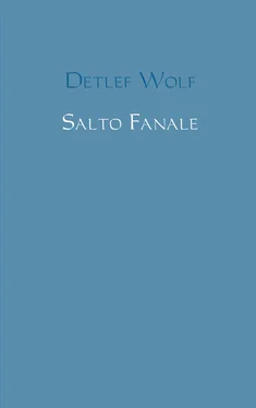 Detlef Wolf Salto Fanale обложка книги