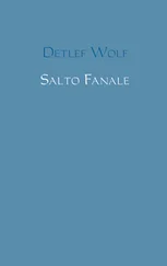 Detlef Wolf - Salto Fanale
