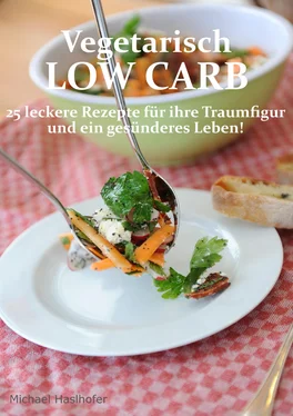 Michael Haslhofer Vegetarisch Low Carb обложка книги
