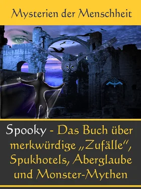 Johanna H. Wyer Echt Spooky - Das Buch der Merkwürdigen Zufälle обложка книги