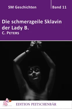 C. Peters Die schmerzgeile Sklavin der Lady B. обложка книги