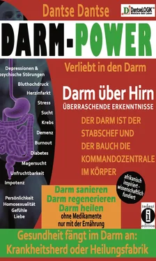 Guy Dantse Darm-Power: Verliebt in den Darm обложка книги