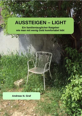 Andreas N. Graf AUSSTEIGEN - LIGHT обложка книги