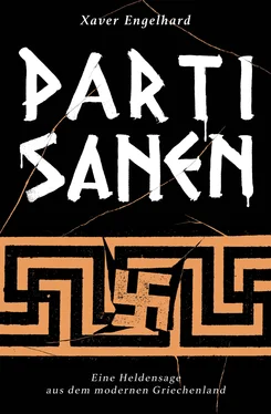 Xaver Engelhard Partisanen обложка книги