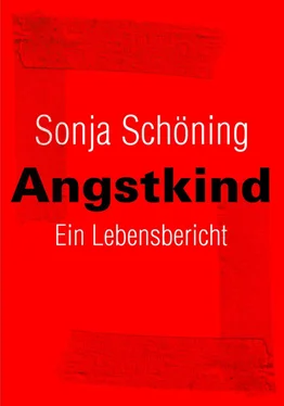 Sonja Schöning Angstkind обложка книги