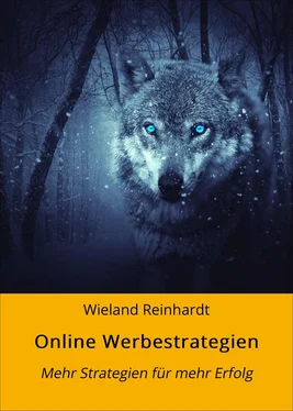 Wieland Reinhardt Online Werbestrategien обложка книги