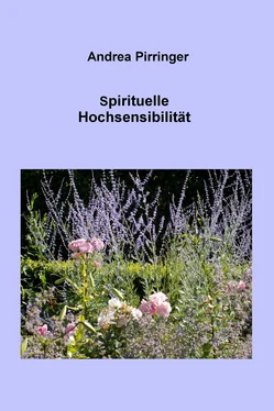 Andrea Pirringer Spirituelle Hochsensibilität обложка книги