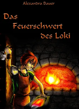 Alexandra Bauer Das Feuerschwert des Loki обложка книги