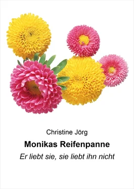 Christine Jörg Monikas Reifenpanne обложка книги