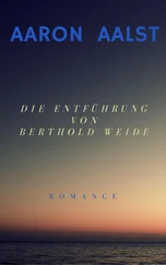 Aaron Aalst - Die Entführung von Berthold Weide