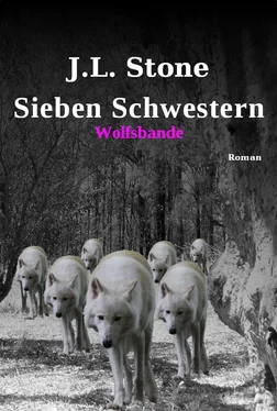 J.L. Stone Sieben Schwestern - Wolfsbande обложка книги