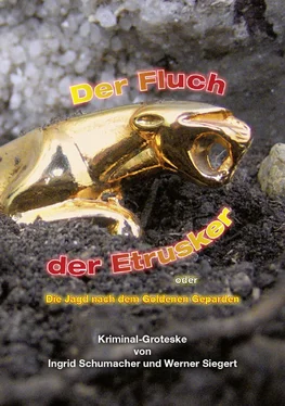 Werner Siegert Der Fluch der Etrusker oder die Jagd nach dem Goldenen Geparden обложка книги