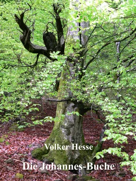 Volker Hesse Die Johannes-Buche обложка книги