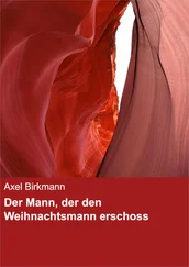 Axel Birkmann - Der Mann, der den Weihnachtsmann erschoss
