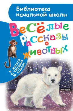 Юрий Коваль Весёлые рассказы о животных обложка книги