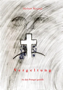 Herbert Weyand Vergeltung обложка книги