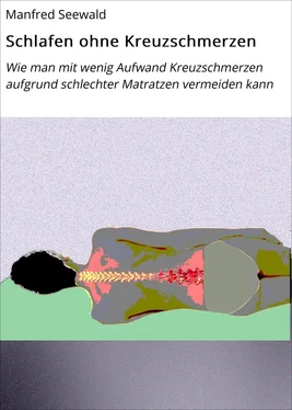 Manfred Seewald Schlafen ohne Kreuzschmerzen обложка книги