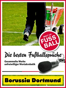 Felix Leitwaldt Borussia Dortmund - Die besten & lustigsten Fussballersprüche und Zitate обложка книги