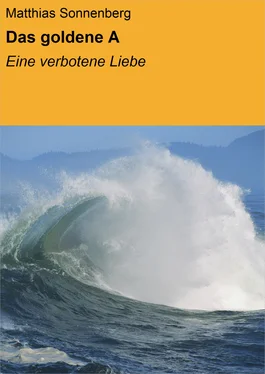 Matthias Sonnenberg Das goldene A обложка книги