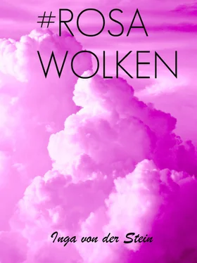 Inga von der Stein Rosa Wolken обложка книги