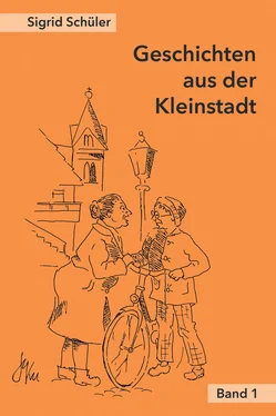 Sigrid Schüler Geschichten aus der Kleinstadt, Band 1 обложка книги