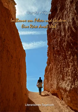 Carola Prigge Im Banne von Felsen und Geistern: Eine Reise durch Utah обложка книги