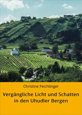 Christine Feichtinger Vergängliche Licht und Schatten in den Uhudler Bergen обложка книги