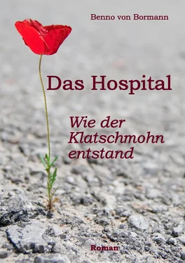 Benno von Bormann Das Hospital обложка книги
