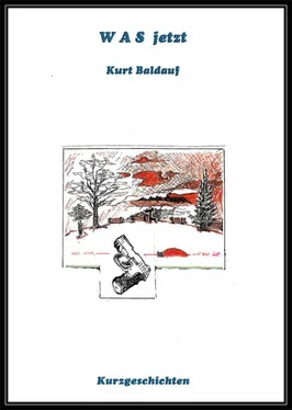 Kurt Baldauf W A S jetzt обложка книги