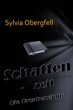 Sylvia Obergfell Schattenzeit обложка книги