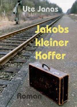 Ute Janas Jakobs kleiner Koffer обложка книги