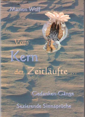 Marion Wolf Vom Kern der Zeitläufte обложка книги