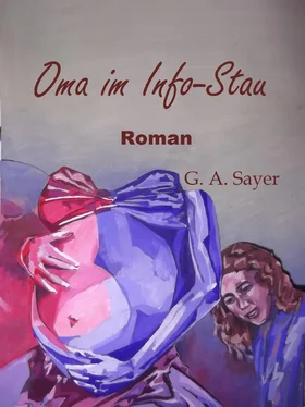 Gertraud Sayer Oma im Info-Stau обложка книги