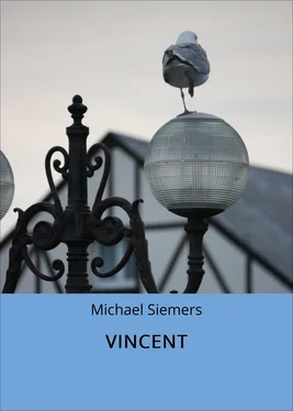 Michael Siemers VINCENT обложка книги