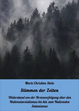 Marie Christine Stein Stimmen der Zeiten обложка книги