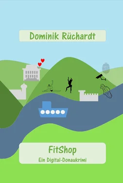 Dominik Rüchardt FitShop обложка книги