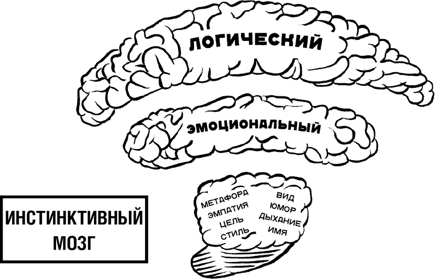 Рис 10 Инстинктивный мозг Инстинктивный мозг как система выживания - фото 10