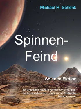 Michael H. Schenk Spinnen-Feind обложка книги