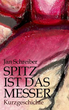 Jan Schreiber Spitz ist das Messer обложка книги
