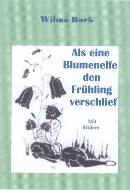 Wilma Burk Als eine Blumenelfe den Frühling verschlief обложка книги