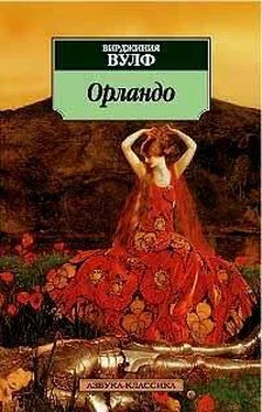 Вирджиния Вульф Орландо обложка книги