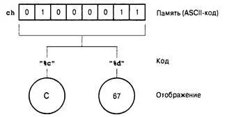 Рис 36 Опюбражение данны х на экране н их хранение в памяти 98 Глава 3 Со - фото 52