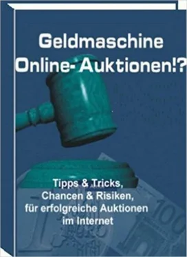 Ina Schmid Geldmaschine Online-Auktionen обложка книги