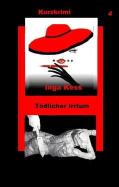 Inga Kess Tödlicher Irrtum обложка книги