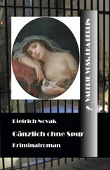 Dietrich Novak - Gänzlich ohne Spur
