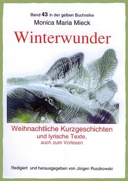 Monica Maria Mieck Winterwunder – Weihnachtliche Kurzgeschichten und lyrische Texte обложка книги