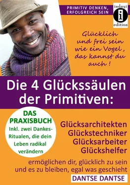 Dantse Dantse Die 4 Glückssäulen der Primitiven: Glücksarchitekten, Glückstechniker, Glücksarbeiter, Glückshelfer обложка книги
