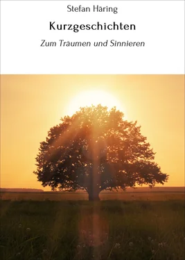 Stefan Häring Kurzgeschichten обложка книги