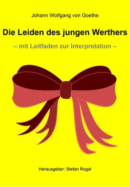 Johann Wolfgang von Goethe Die Leiden des jungen Werthers обложка книги