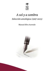 Manuel Silva Acevedo - A sol y a sombra